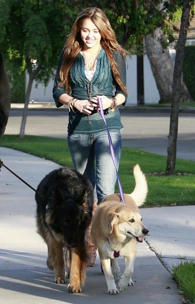 mileycyrusdadwalkingtheirdogsyczrp_9f5vcl.jpg